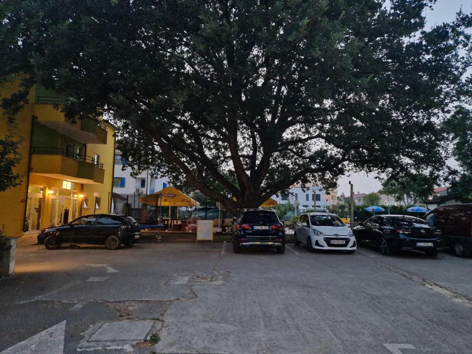 Biergarten เมดูลิน ภายนอก รูปภาพ